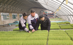 黑地盘取现代农业成长的故事